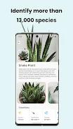 PlantCam: AI Plant Identifier Capture d'écran 2