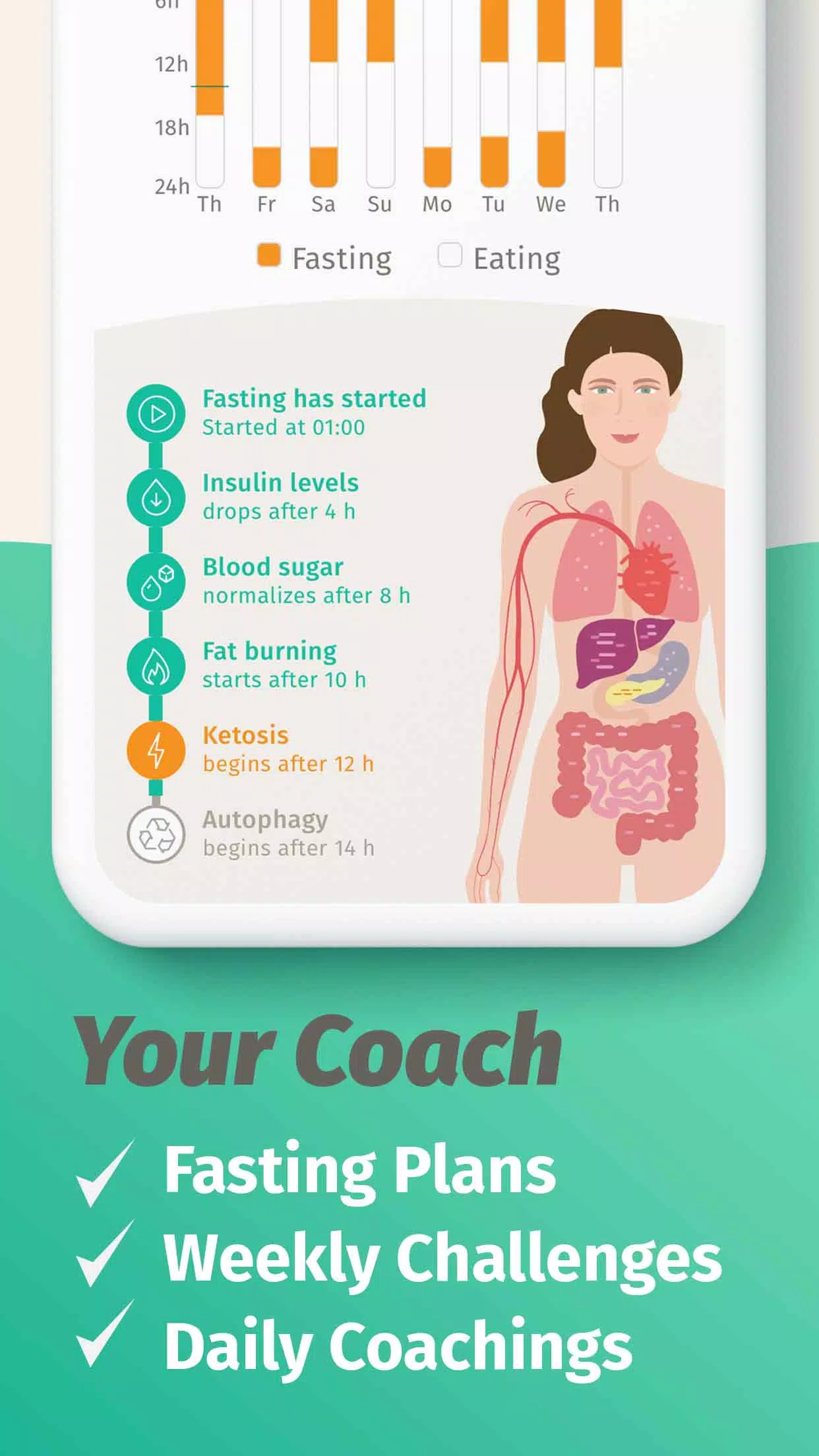BodyFast Ekran Görüntüsü 3