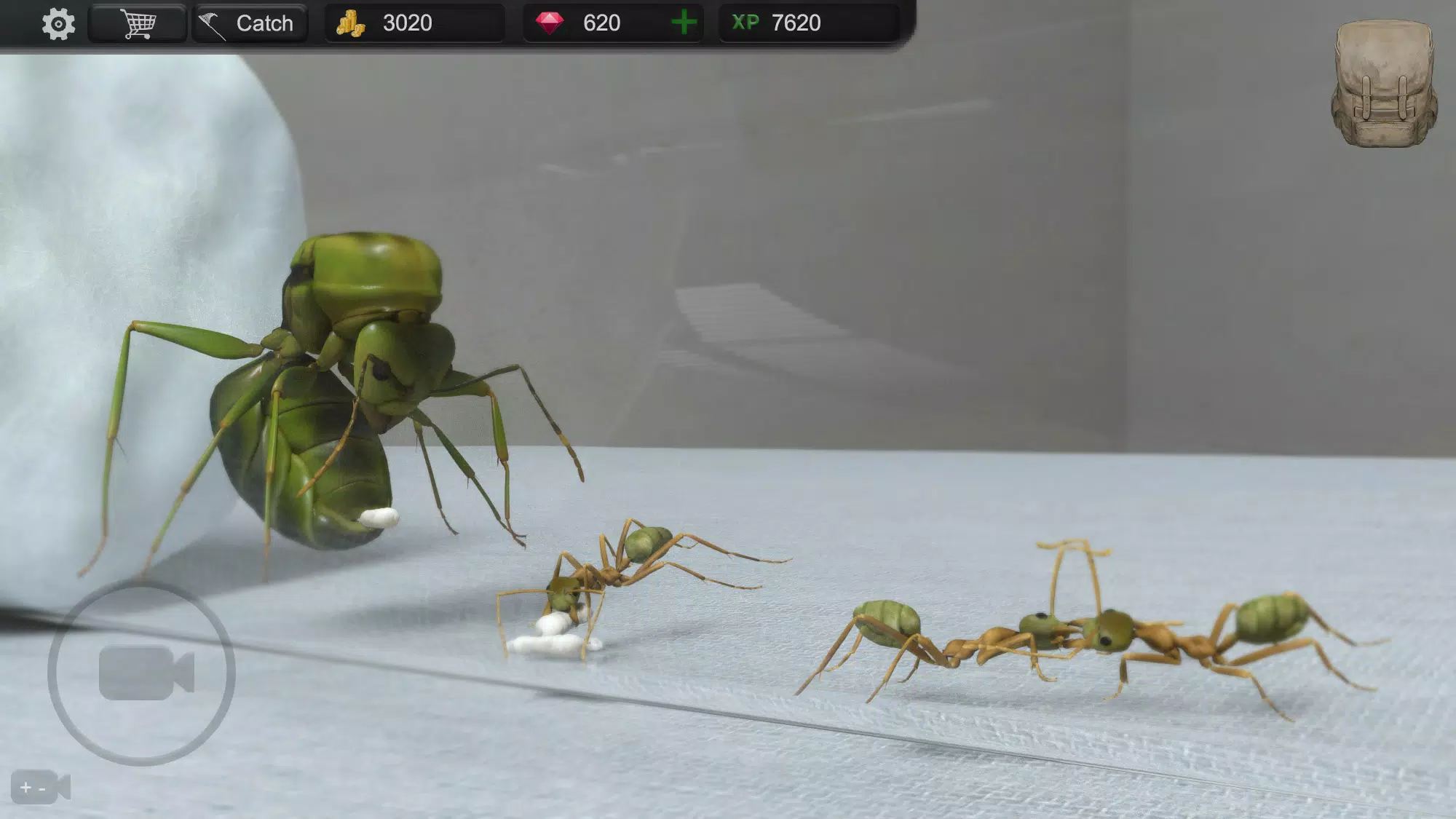 Ant Sim Tycoon ภาพหน้าจอ 0