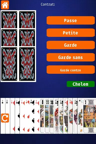 Net.Tarot 螢幕截圖 1