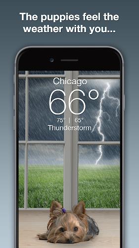 Weather Puppy - App & Widget应用截图第1张
