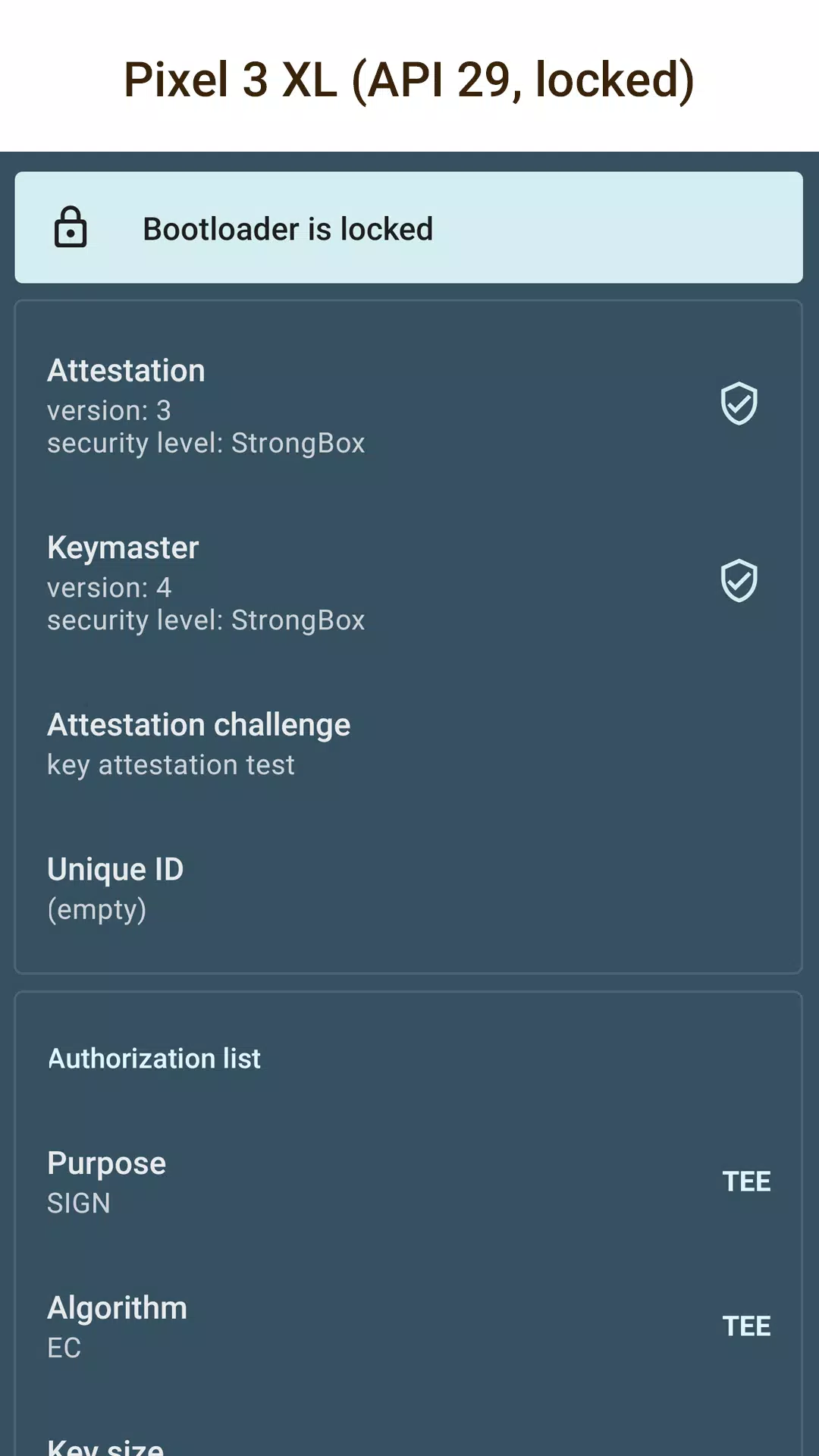 Key Attestation Demo Captura de tela 0