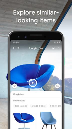 Google Lens 스크린샷 2