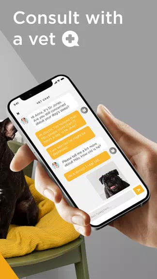 Petcube ภาพหน้าจอ 3
