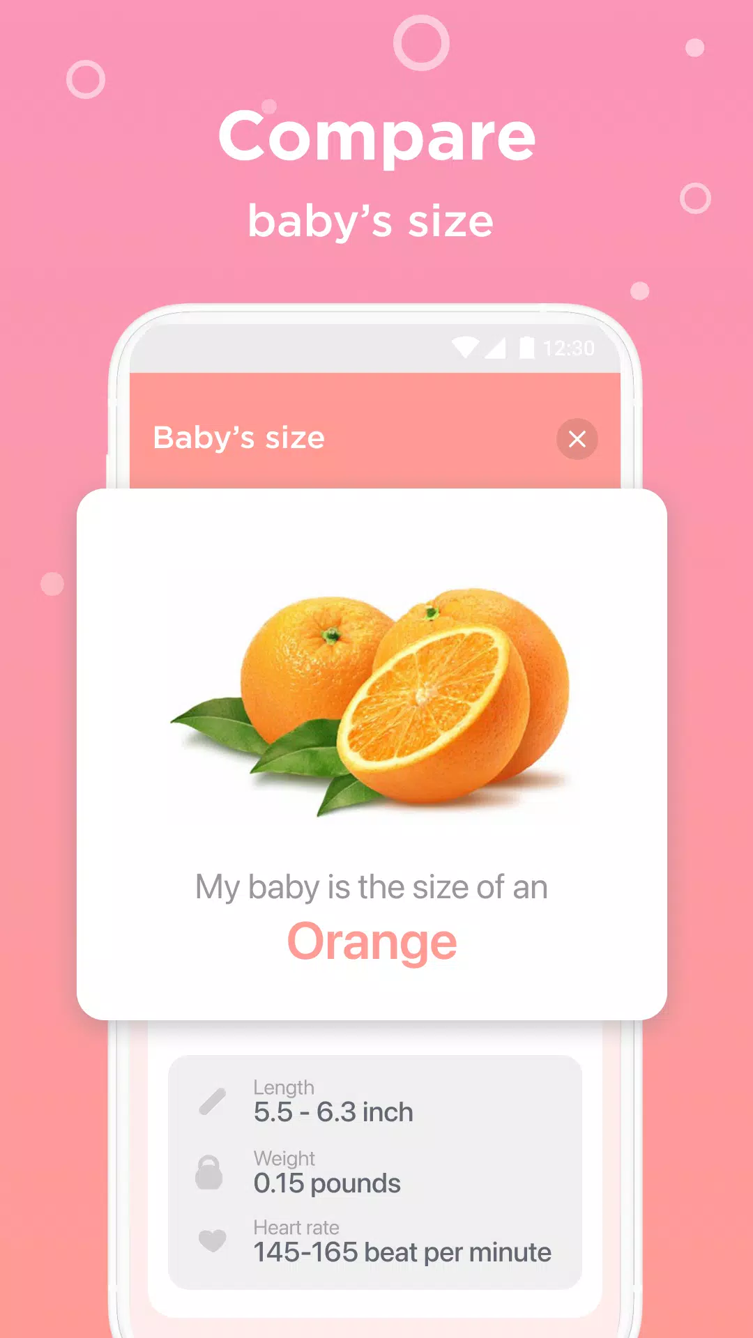 Pregnancy Ekran Görüntüsü 2