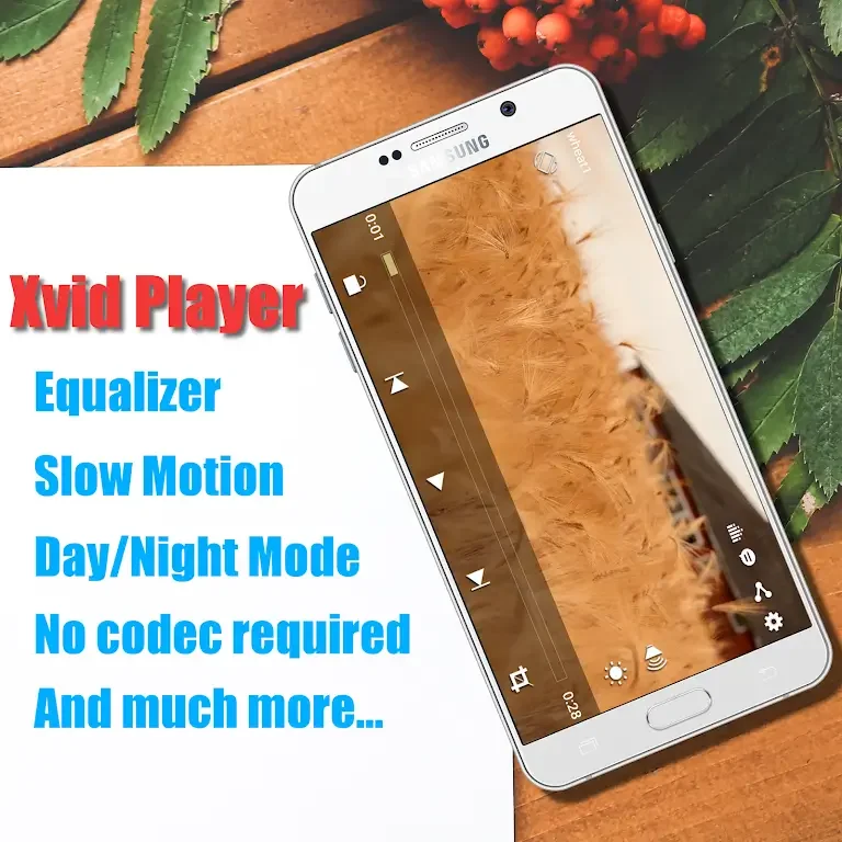 Xvid Video Codec Player Capture d'écran 0