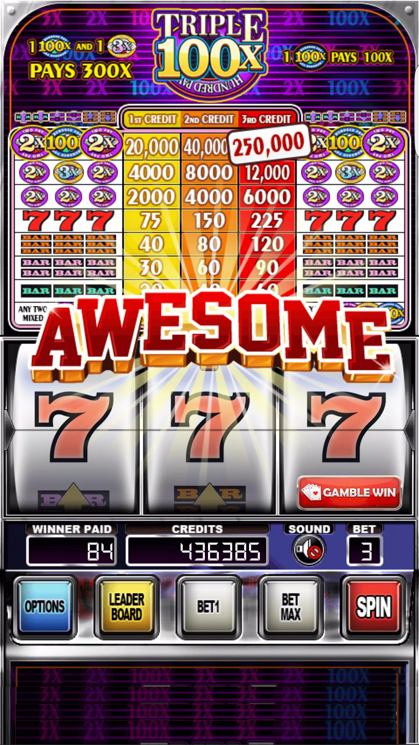 Double Wild Slots 螢幕截圖 2