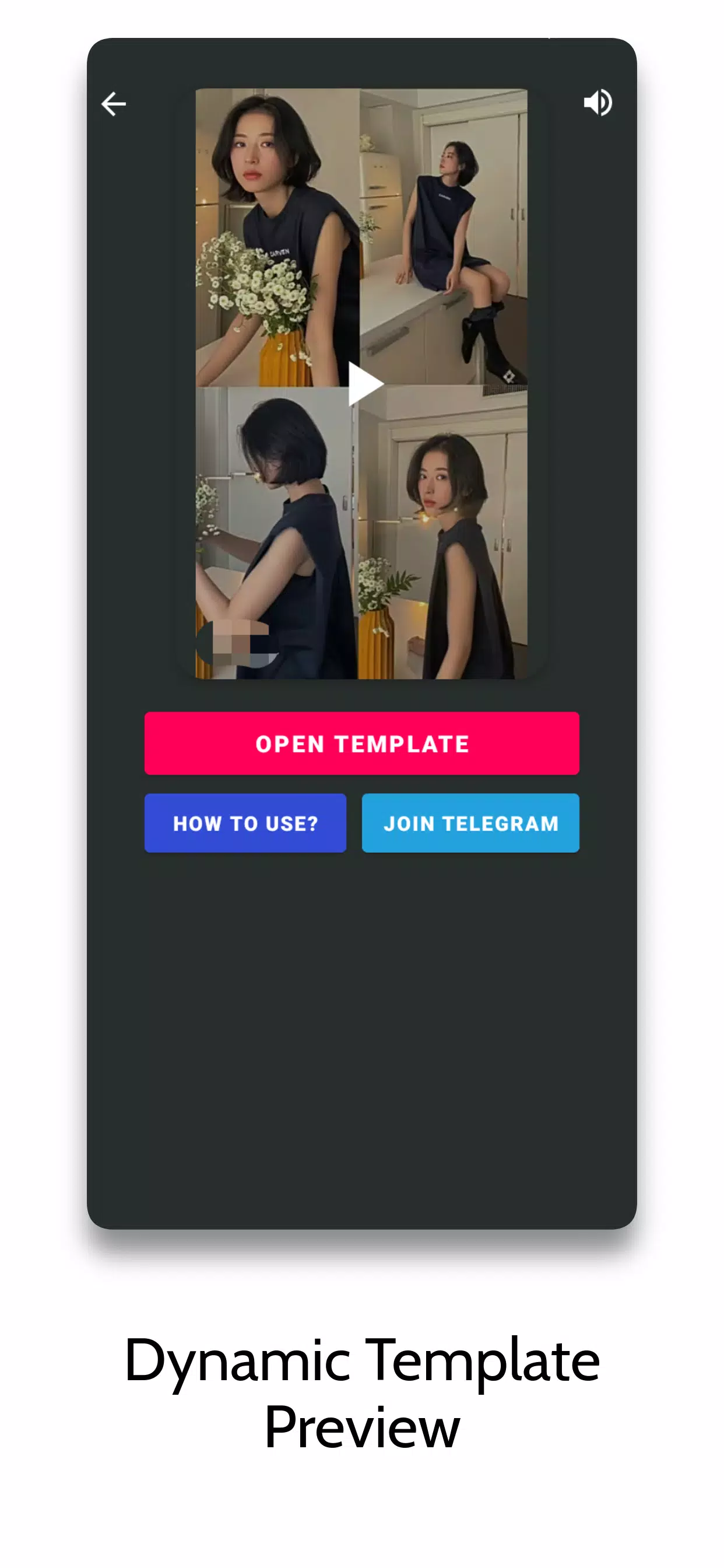 CVT Template Capture d'écran 1