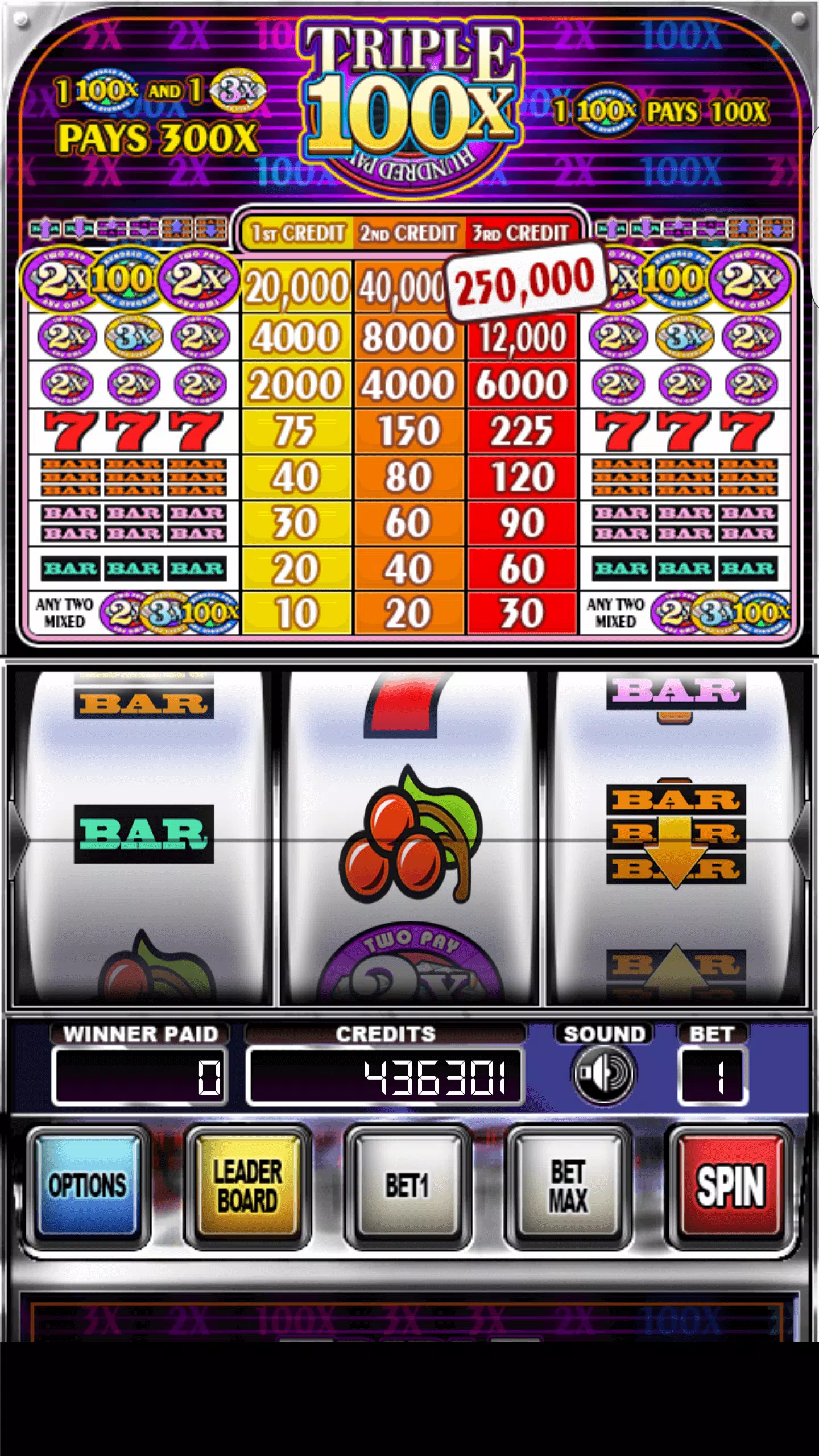 Double Wild Slots 螢幕截圖 0