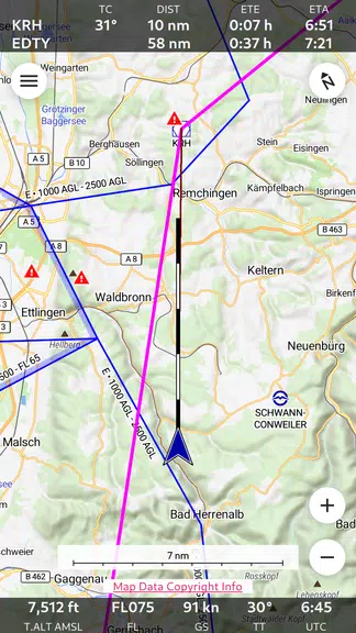 Enroute Flight Navigation Captura de tela 0