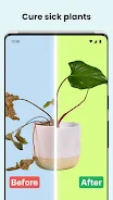 PlantCam: AI Plant Identifier Capture d'écran 3