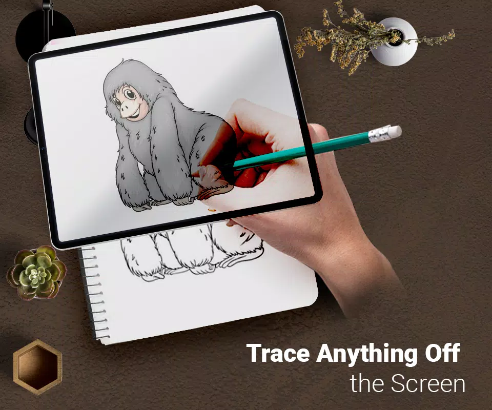 Draw : Trace & Sketch Tangkapan skrin 0