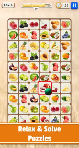 Tilescapes Match 螢幕截圖 1