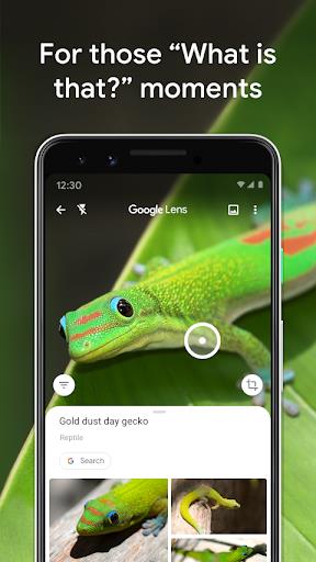 Google Lens 스크린샷 0