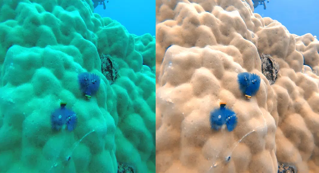 UwEdit - Diving footage editor Captura de tela 1
