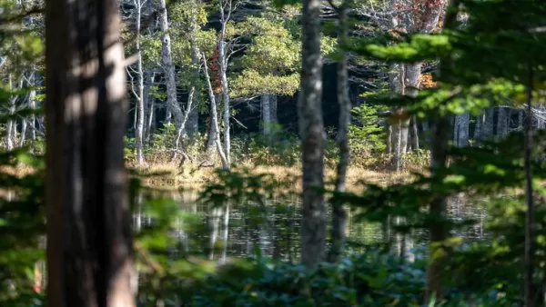 Yotei的幽靈在北海道的危險和美麗感