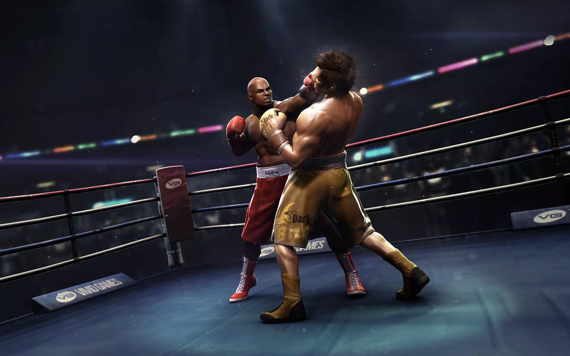 Real Boxing ภาพหน้าจอ 0