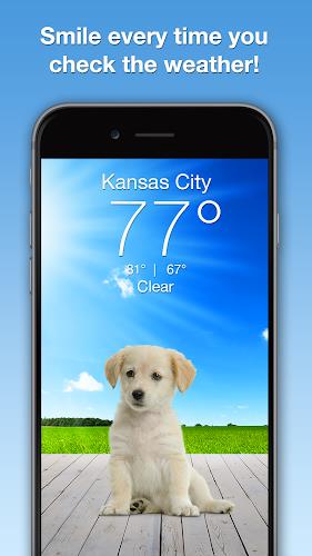 Weather Puppy - App & Widget应用截图第0张