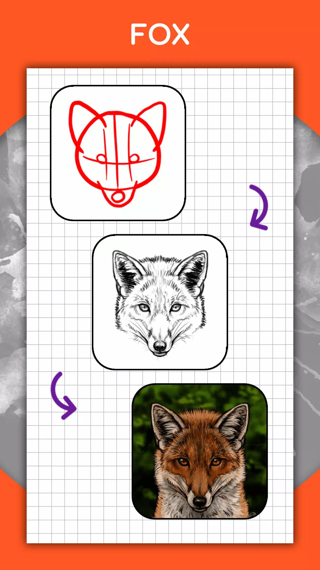 How to draw animals by steps Ekran Görüntüsü 3