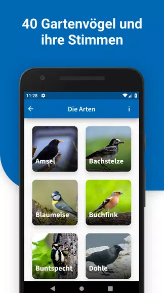 40 Gartenvögel & ihre Stimmen Capture d'écran 0