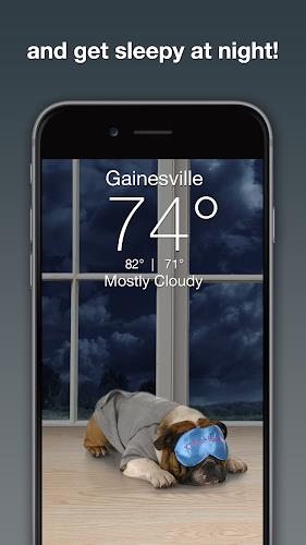 Weather Puppy - App & Widget应用截图第2张