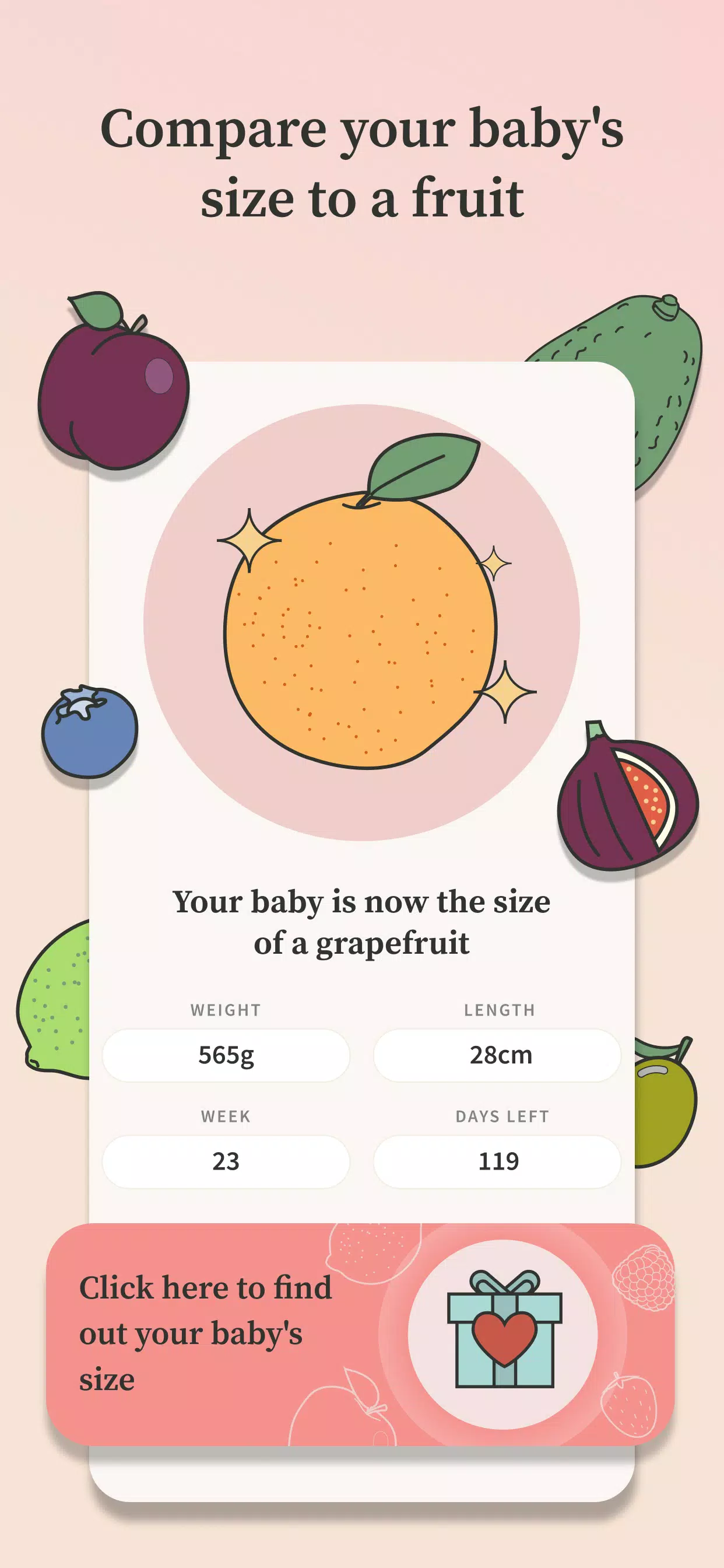 Preglife Ekran Görüntüsü 3