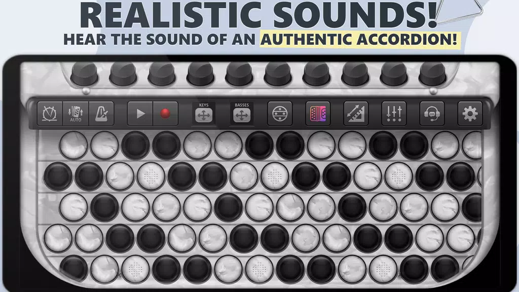 Accordion Chromatic Master ภาพหน้าจอ 0