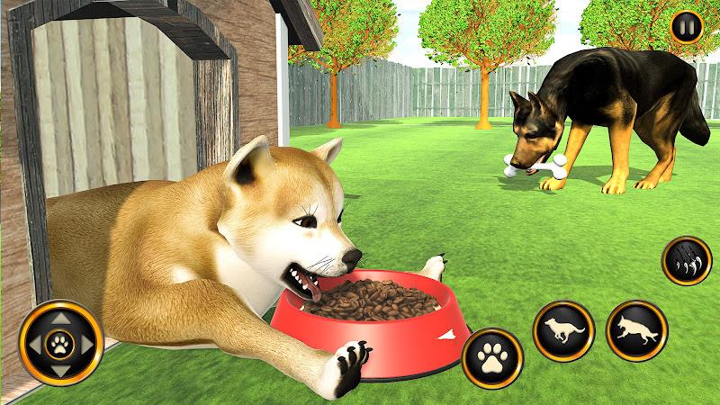 Dog Life Simulator Dog Games应用截图第2张