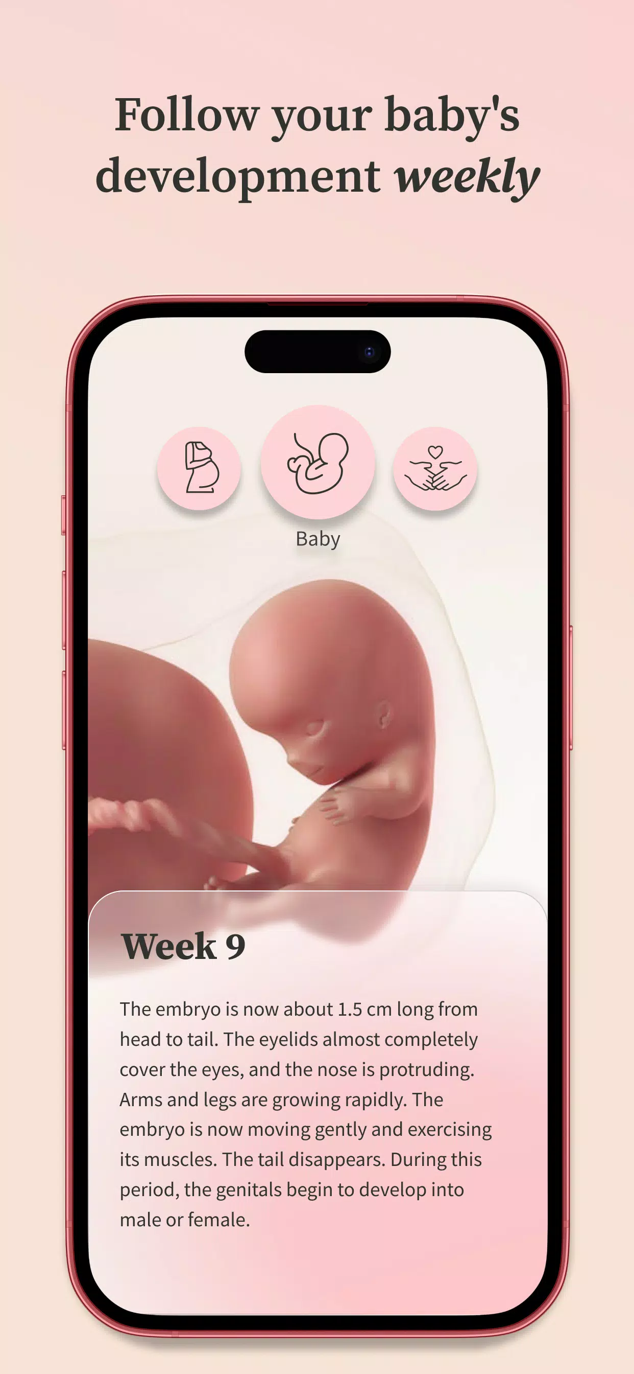 Preglife Ekran Görüntüsü 2