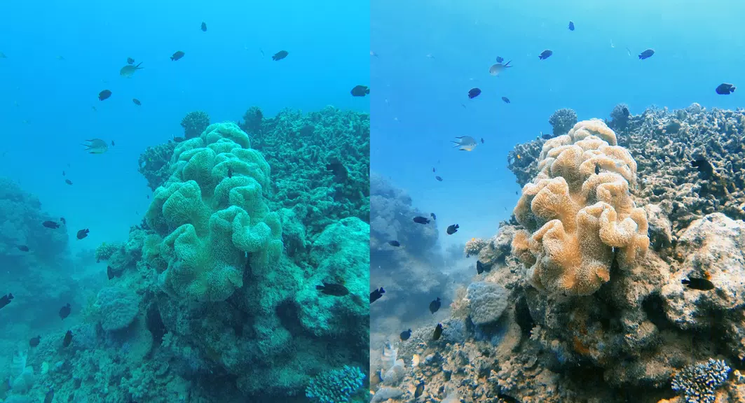 UwEdit - Diving footage editor Captura de tela 2