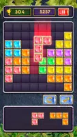 Block Jewel: Brick Puzzle Game Скриншот 0