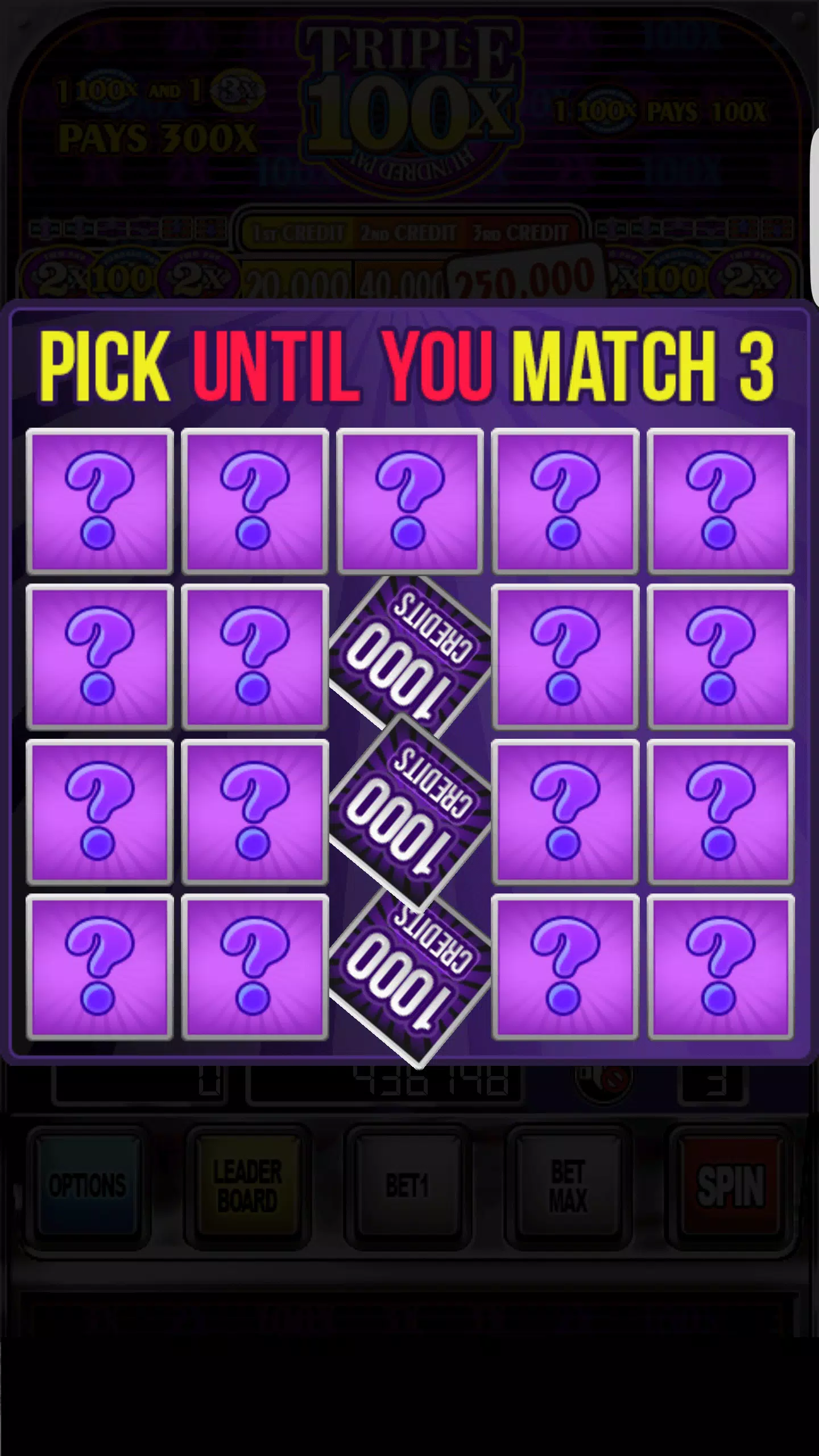 Double Wild Slots 螢幕截圖 3