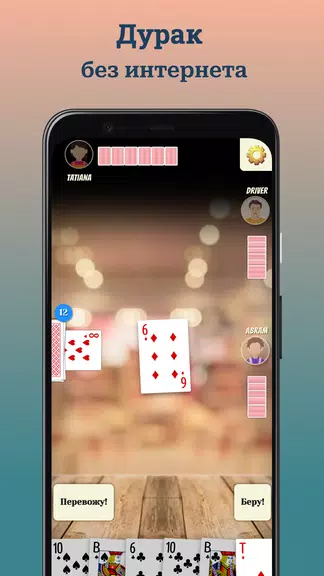 Durak offline 螢幕截圖 0