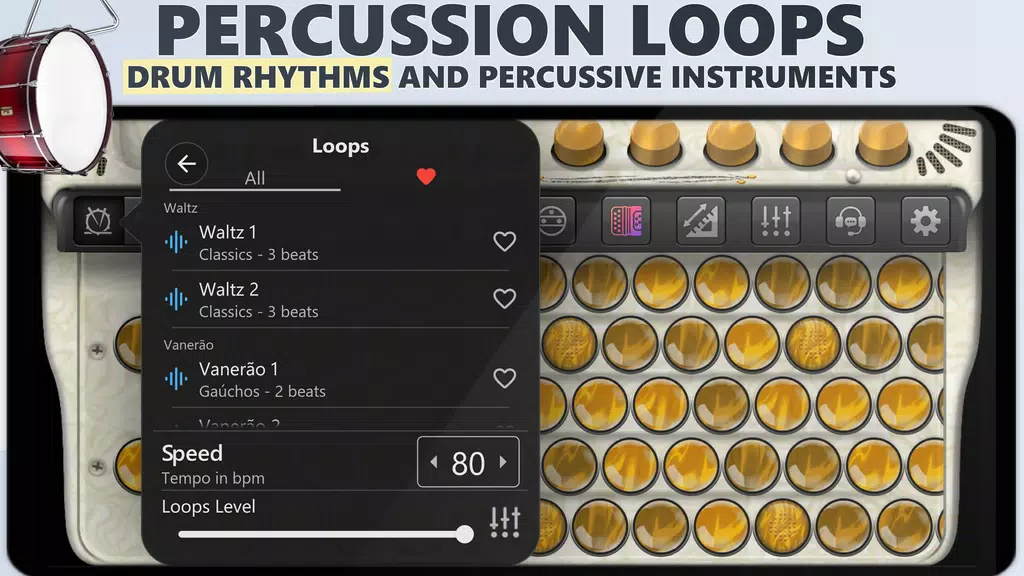 Accordion Chromatic Master ภาพหน้าจอ 2
