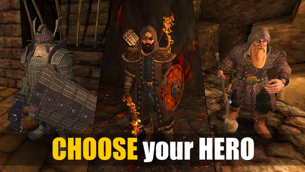 Dungeon Ward: Offline Games Скриншот 0