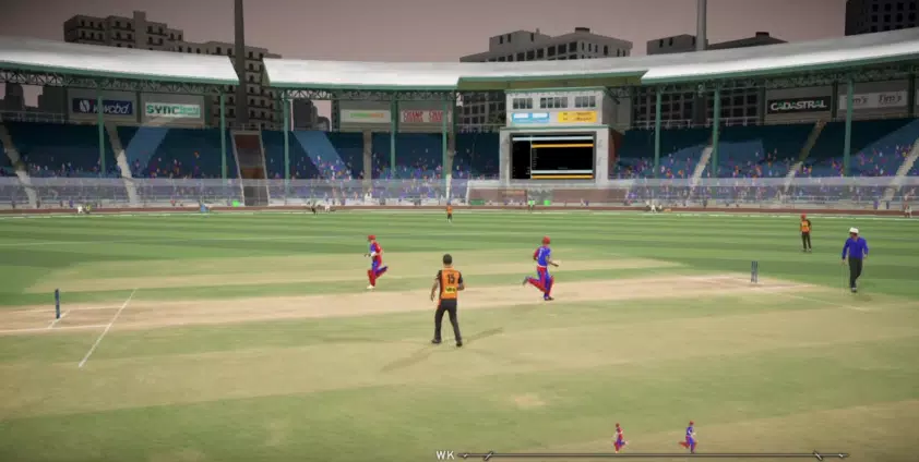 Cricket 2024 Captura de pantalla 3