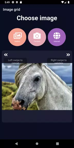 Schermata ImageGrid 1
