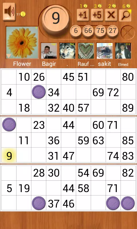 Loto Online Ekran Görüntüsü 0