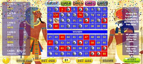 Keno 4 Card - 4 Card Keno 螢幕截圖 2