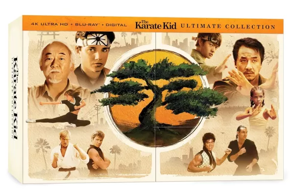 A Coleção Definitiva Karate Kid com 6 Filmes