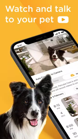Petcube ภาพหน้าจอ 0