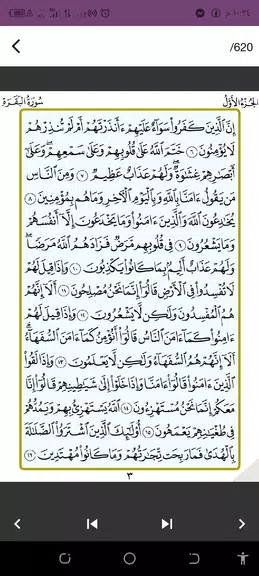 القرآن الكريم المصحف Captura de pantalla 2