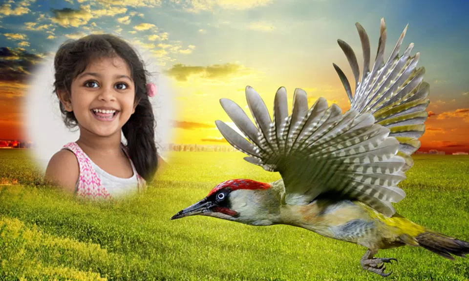 Nature Photo Frames Скриншот 0