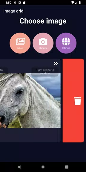 Schermata ImageGrid 2