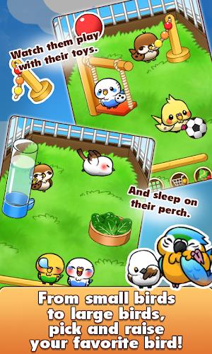 Bird Life スクリーンショット 3