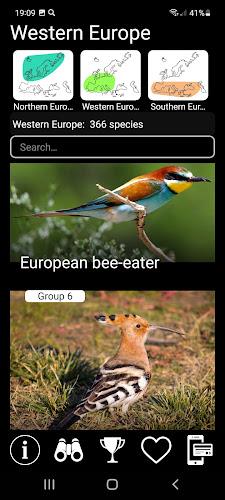 European Birds Songs & Calls 螢幕截圖 1