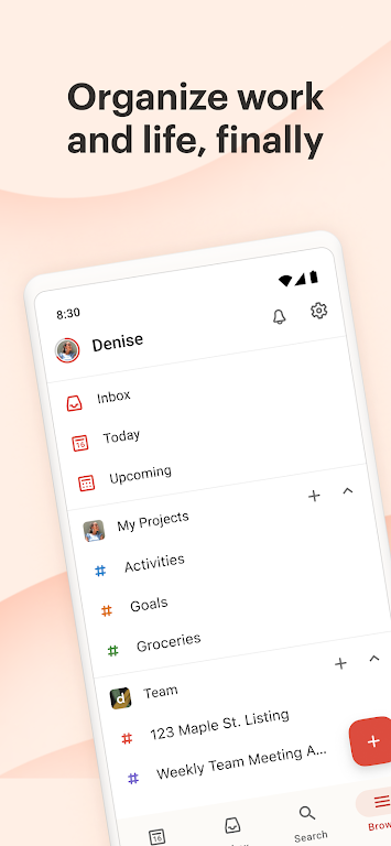 Todoist Schermafbeelding 0