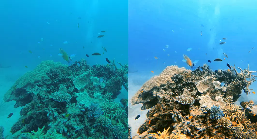 UwEdit - Diving footage editor Captura de tela 0