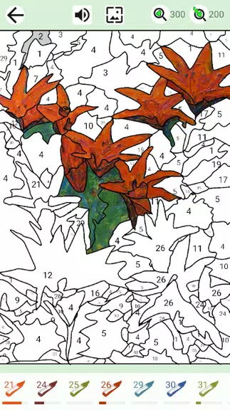 Schermata Painting by numbers and puzzle 2