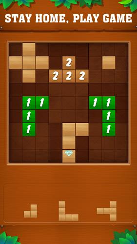 Tetrudoku: Block Puzzle Captura de tela 0